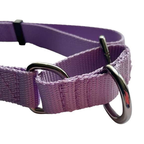 NEW Lilac Purple Martingale Dog Collar M/L NWOT Blueberry Pet - Picture 5 of 8